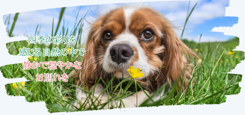 ワンニャンの杜